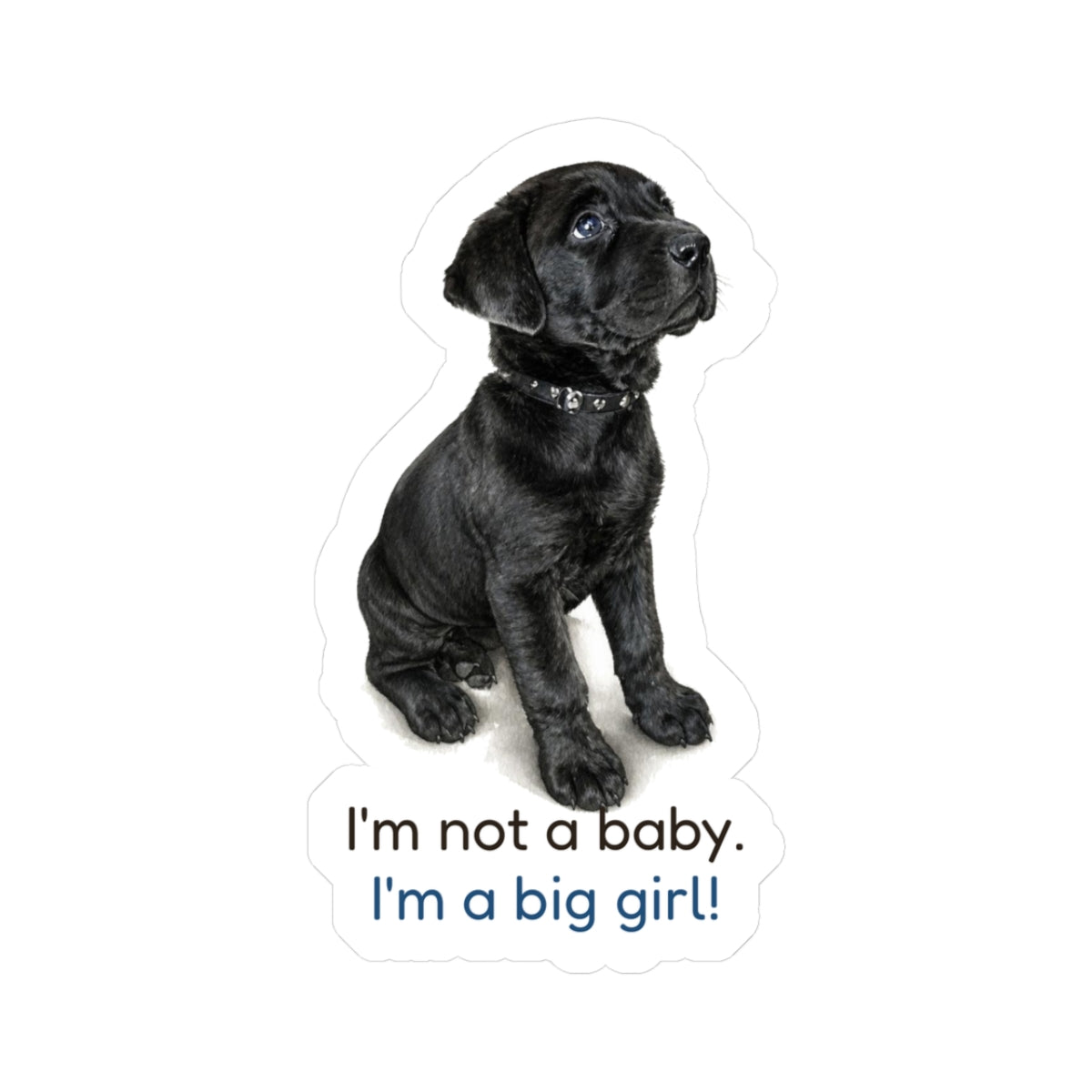 I'm not a baby. I'm a big girl! | Mastador Sticker