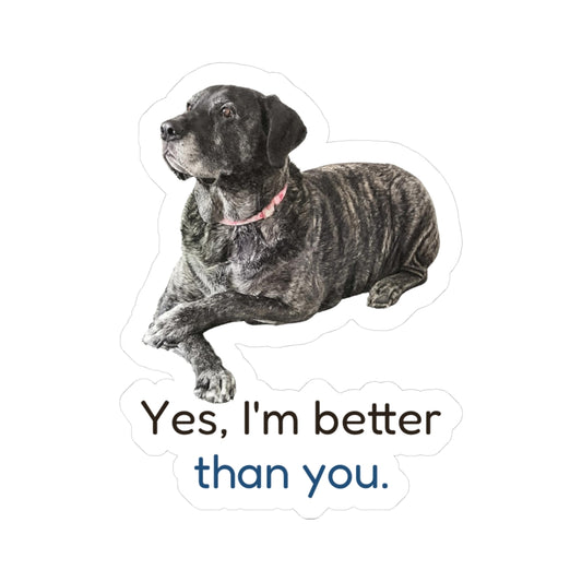 Yes, I'm better than you | Mastador Sticker