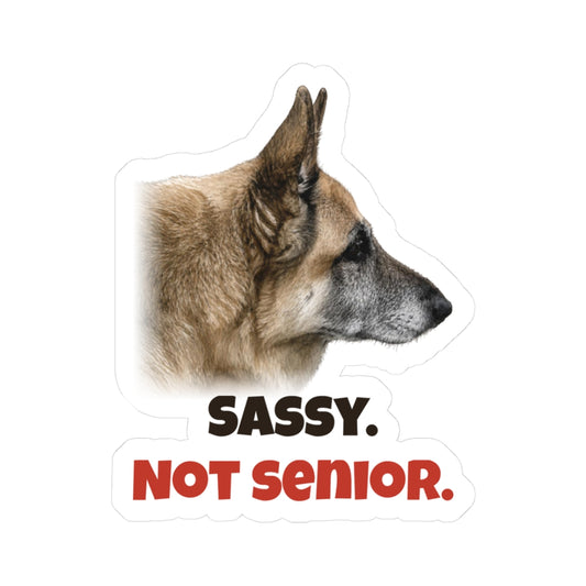 Sassy. Not senior | German Shepherd Sticker