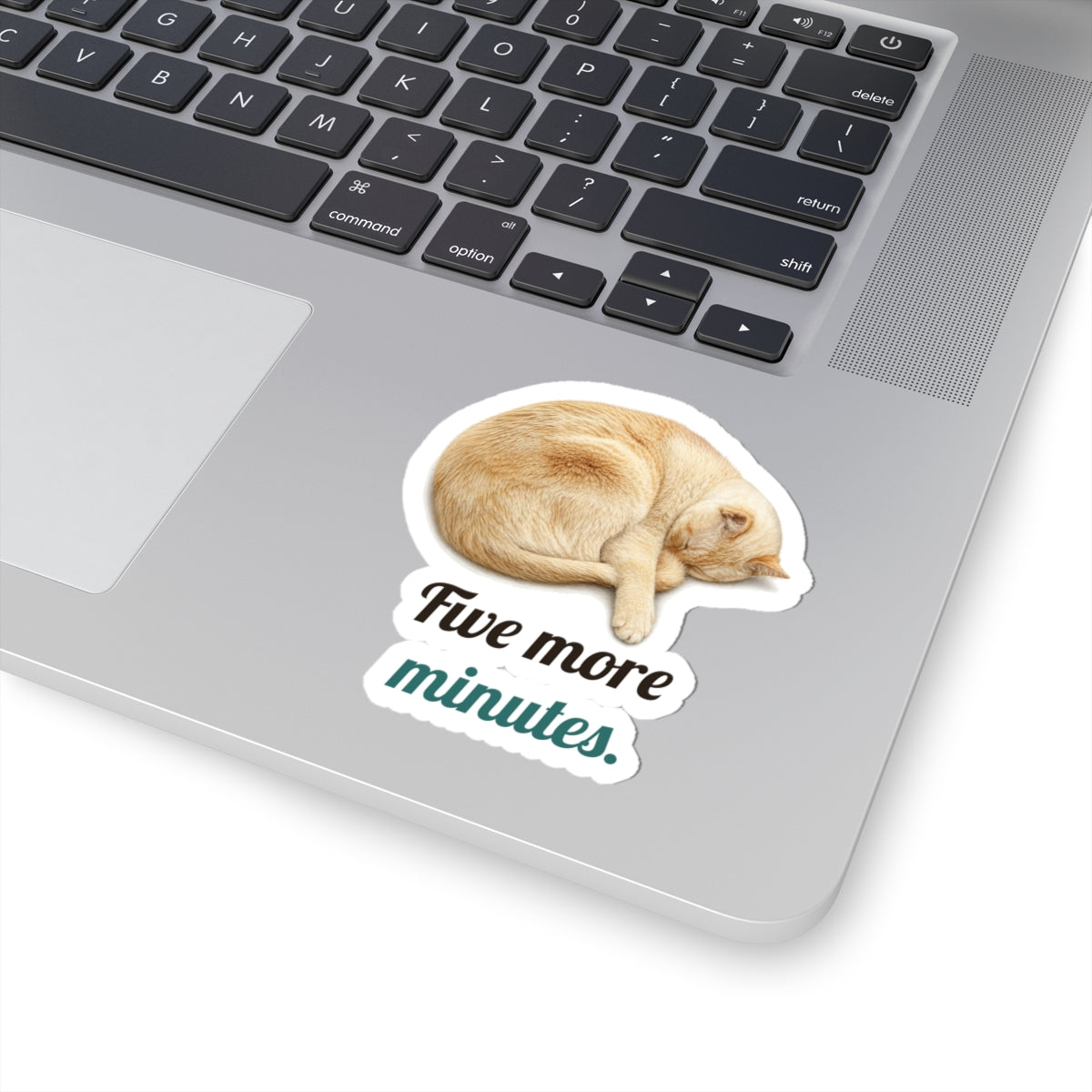 Five more minutes | Siamese Cat Sticker