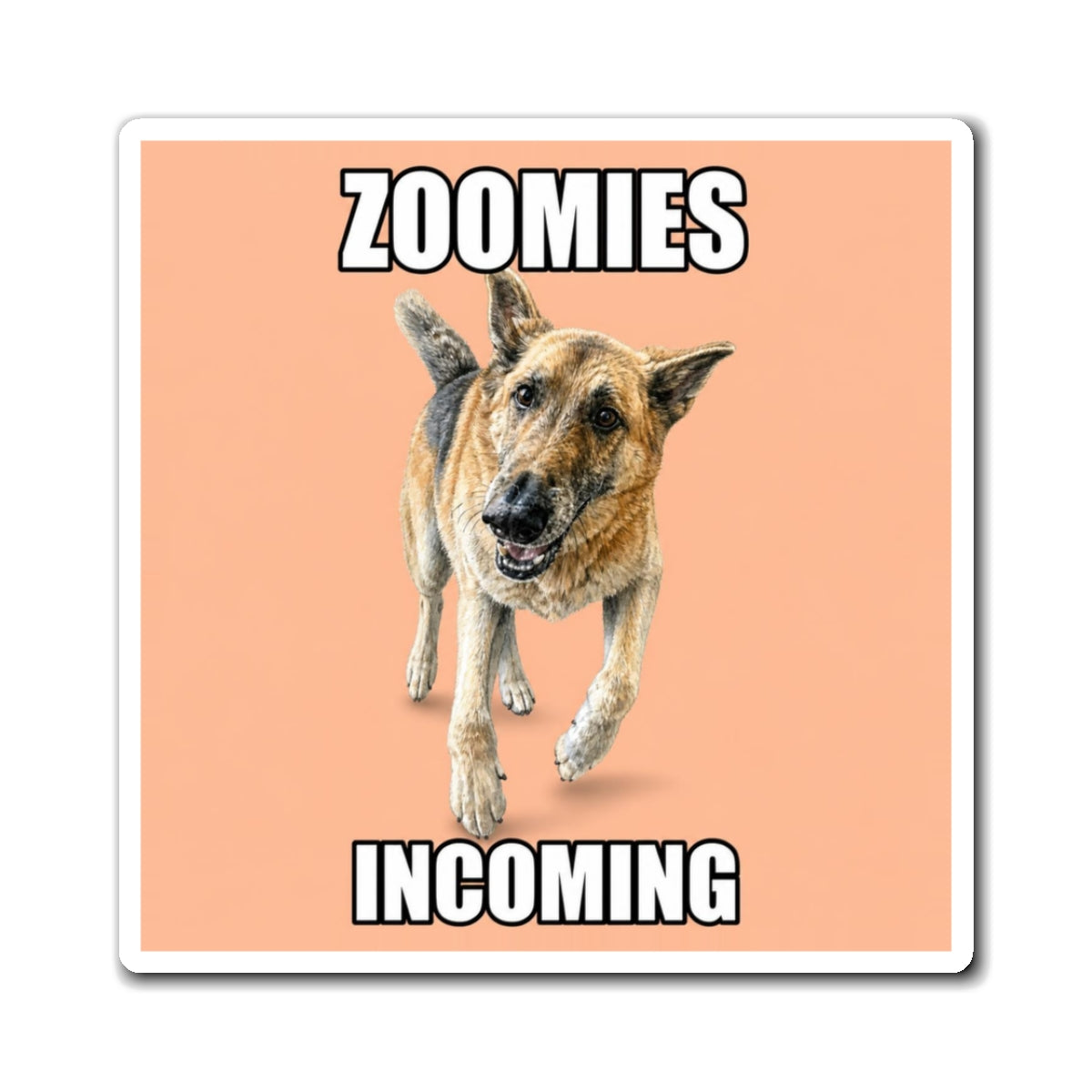 Zoomies Incoming | Fun German Shepherd Dog Lover Fridge Magnet