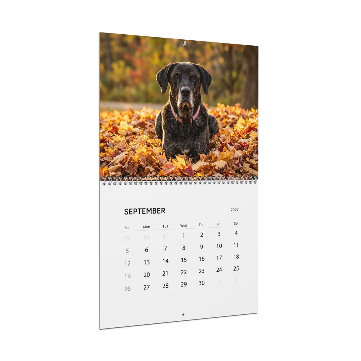 2027 Pet Wall Calendar | German Shepherd, Mastador & Cat Lover Gift