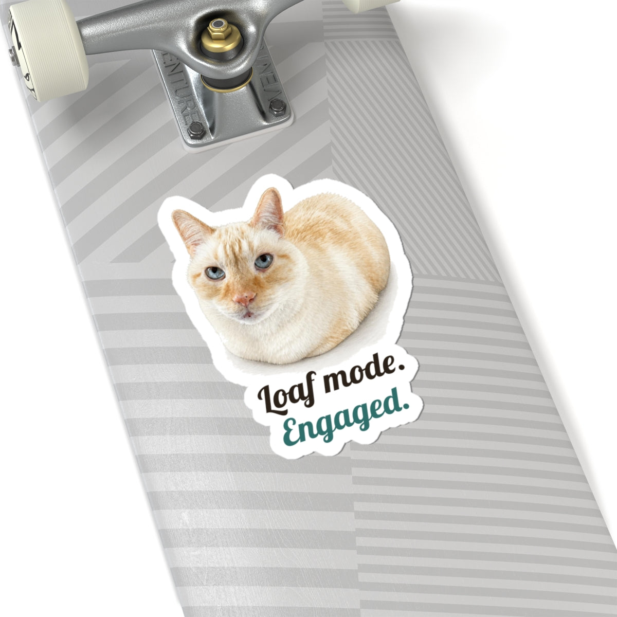 Loaf mode. Engaged | Siamese Cat Sticker