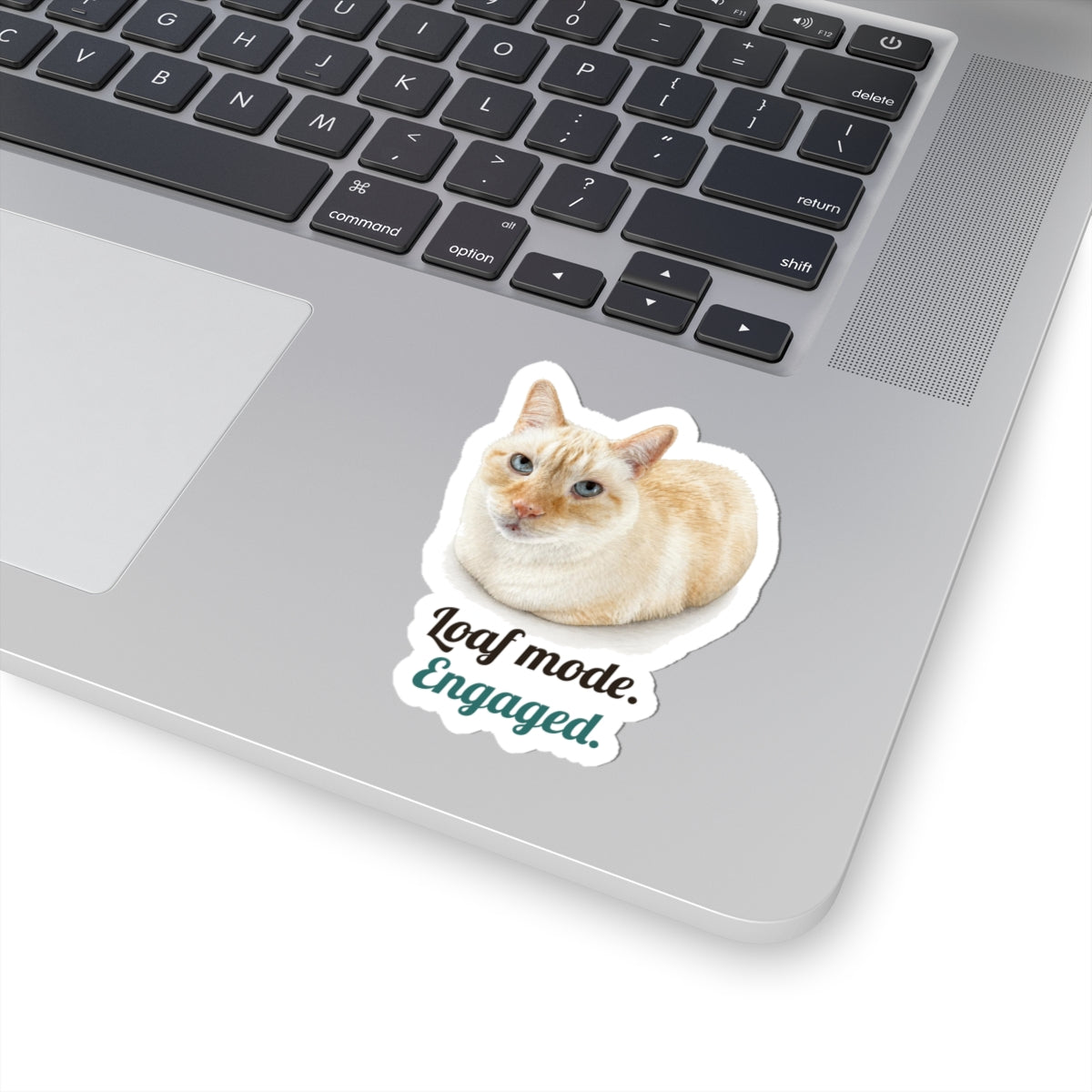 Loaf mode. Engaged | Siamese Cat Sticker