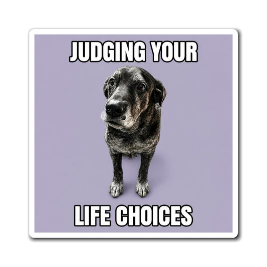 Judging Your Life Choices | Fun Mastador Dog Lover Fridge Magnet