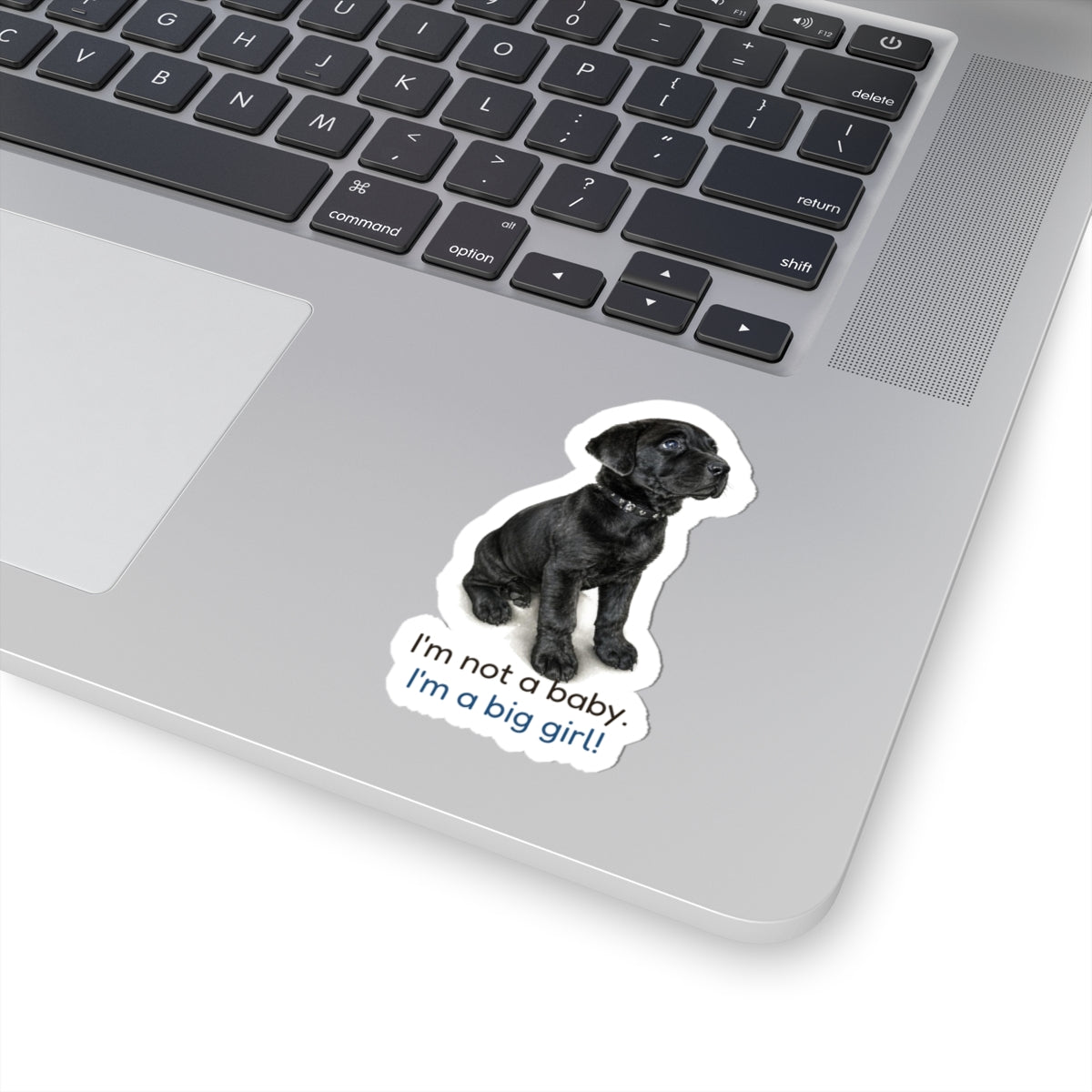 I'm not a baby. I'm a big girl! | Mastador Sticker