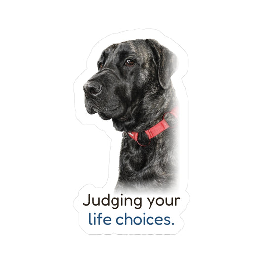 Judging your life choices | Mastador Sticker