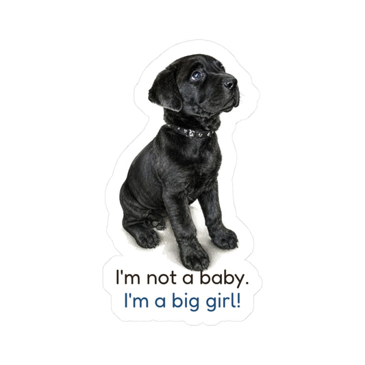 I'm not a baby. I'm a big girl! | Mastador Sticker